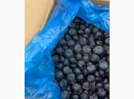 Зображення для оголошення Продам заморожену лохину крупного калібру оптом від 10 тонн
