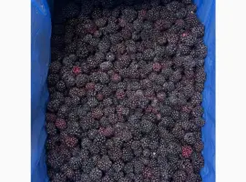 Зображення для оголошення ПРОДАМ ежевику замороженную