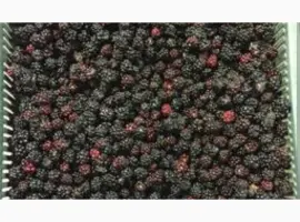 Зображення для оголошення Продам Ожину морожену