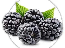 Зображення для оголошення Продам. Ожину лісову