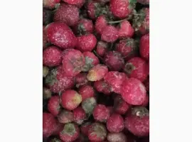 Зображення для оголошення Продам полуницю заморожену дрібну з хвостиком