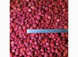Зображення для оголошення Продам заморожену полуницю