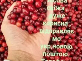 Зображення для оголошення Журавлина лісова очищена