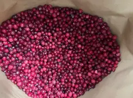 Зображення для оголошення Продам журавлину