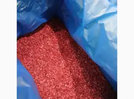 Зображення для оголошення Продам малину Грис