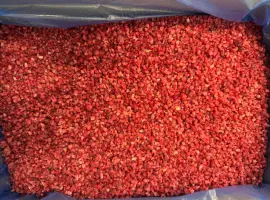 Зображення для оголошення Продам малину грис
