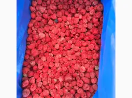 Зображення для оголошення Продам малину 70/30