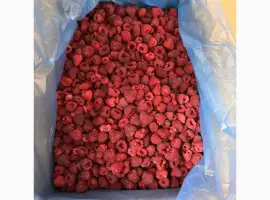 Зображення для оголошення Продам малину