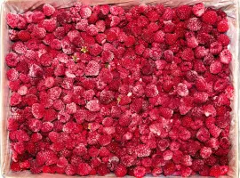 Зображення для оголошення Куплю малину свіжу та заморожену - 90/10