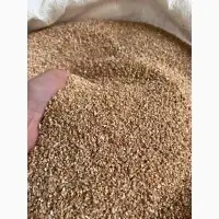 Зображення для оголошення Продам пшеничку кормову