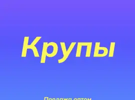 Зображення для оголошення Нутовая крупа в Киеве оптом для ресторанов и магазинов здорового питания