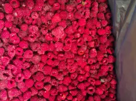 Зображення для оголошення Продам малину 80/20 оптом від 10 тонн - Рівненська область