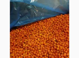 Зображення для оголошення Продам обліпиху заморожену