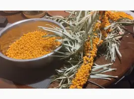 Зображення для оголошення Обліпиха заморожена