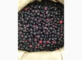 Зображення для оголошення Продам заморожену смородину Б-клас
