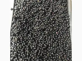 Зображення для оголошення Продам заморожену чорну смородину