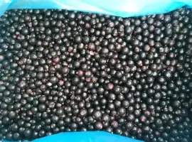 Зображення для оголошення Куплю смородину заморожену 5 тонн