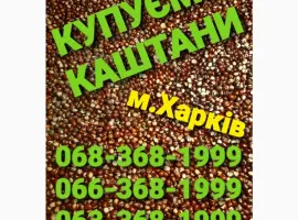 Зображення для оголошення Куплю каштаны оптом Харьков