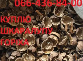 Зображення для оголошення Куплю шкаралупу грецького горіха