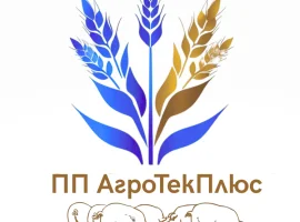 Зображення для оголошення Куплю свиноматок терміново