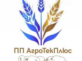 Зображення для оголошення Куплю свиноматок терміново