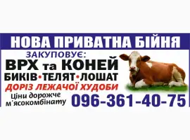 Зображення для оголошення Куплю Врх та коні на мʼясо та тримання ДОРОГО