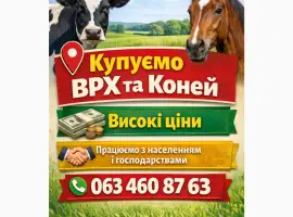 Зображення для оголошення Куплю врх