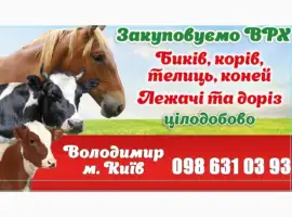 Зображення для оголошення Закоповуємо корів