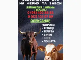 Зображення для оголошення Закупівля врх