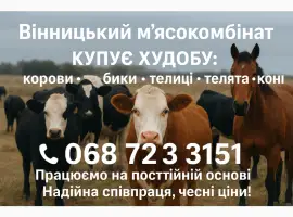 Зображення для оголошення Куплю худобу по всій Україні