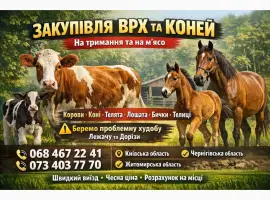 Зображення для оголошення Закупівля Врх та коней