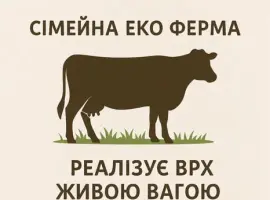 Зображення для оголошення Продам биків живою вагою