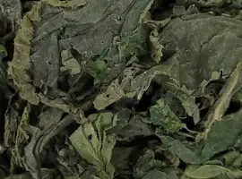 Зображення для оголошення Куплю кропиву