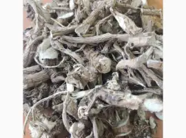 Зображення для оголошення Куплю коріння