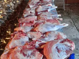Зображення для оголошення Ягнятина продаж вакуум та без вакууму