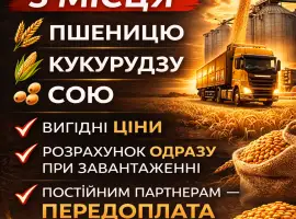 Закуповуємо зерно з поля / господарства
