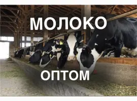 Зображення для оголошення Продаж молока оптом від виробника – 5 000 кг/день