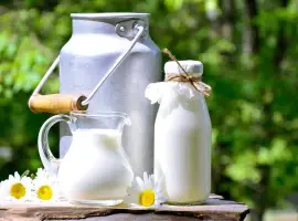 Зображення для оголошення Продам молоко (коров"яче) екстра класу