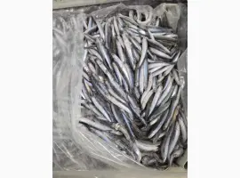 Зображення для оголошення Продам Хамсу