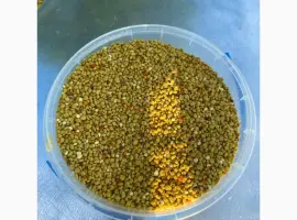 Зображення для оголошення Купити бджолиний пилок
