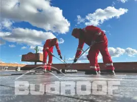Зображення для оголошення Монтаж євроруберойду