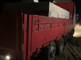 Зображення для оголошення Зарибок коропа