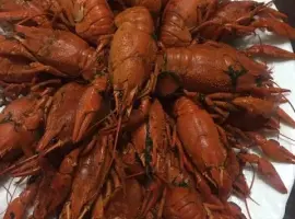 Зображення для оголошення Продам свіжий рак від 5 кг +1 в подарунок