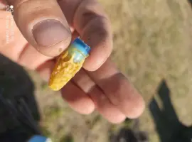 Зображення для оголошення Продам плідних бджоломаток