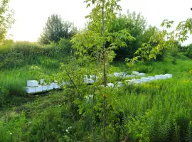 Продам бджолопакети 100 шт Карніка