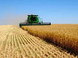 Зображення для оголошення Продаж корпоративних прав ТОВ на лівому березі Дніпр
