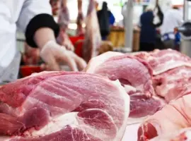 Зображення для оголошення Мясо свинины ошеек, биток, лопатка