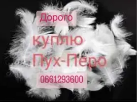 Зображення для оголошення Покупка пуха и пера свежее и б/у в любых объемах