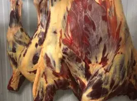 Зображення для оголошення Конина полутуши и мякоть
