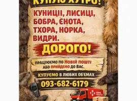 Зображення для оголошення Куплю хутро куниці та інше